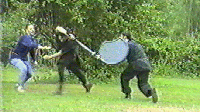 OR25m.gif (23666 octets)